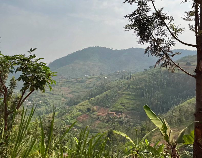 Rwanda, province du Nord / terroir Musasa