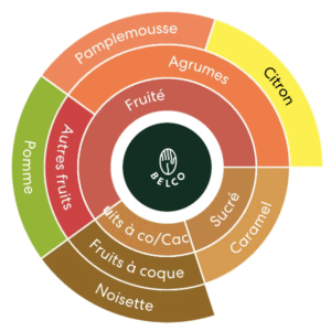 Roue aromatique Belco du café Azul Indonésie, dominante fruitée et sucrée avec notes de citron, pamplemousse, caramel et noisette
