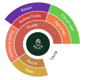 roue aromes café ocre éthiopie