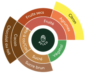 Roue des arômes du café Rwanda Murambi : notes fruitées (agrumes, citron), végétales, sucrées (sucre brun, cacao, chocolat au lait) et fruits secs